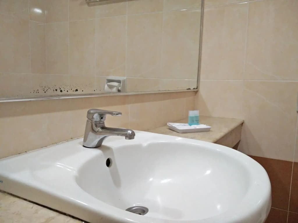 Bintang Collectionz Hotel - photo 8
