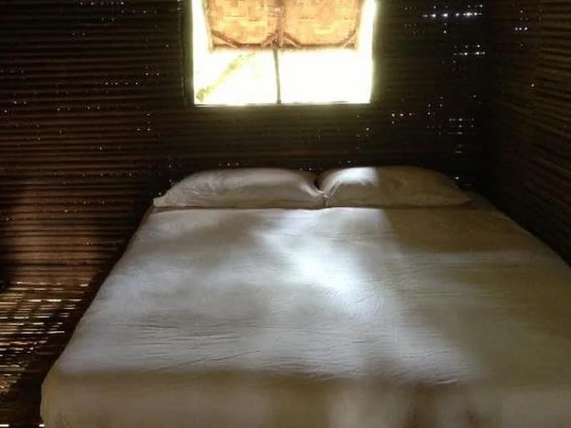 Terras Tree House - photo 3