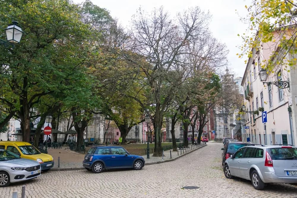 The Mulberry Tree Lisbon Hostel - photo 11