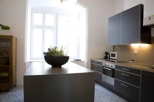 Apartments am Brahmsplatz - photo 3