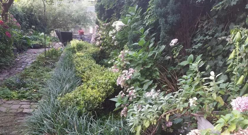 Garden Suite - photo 8