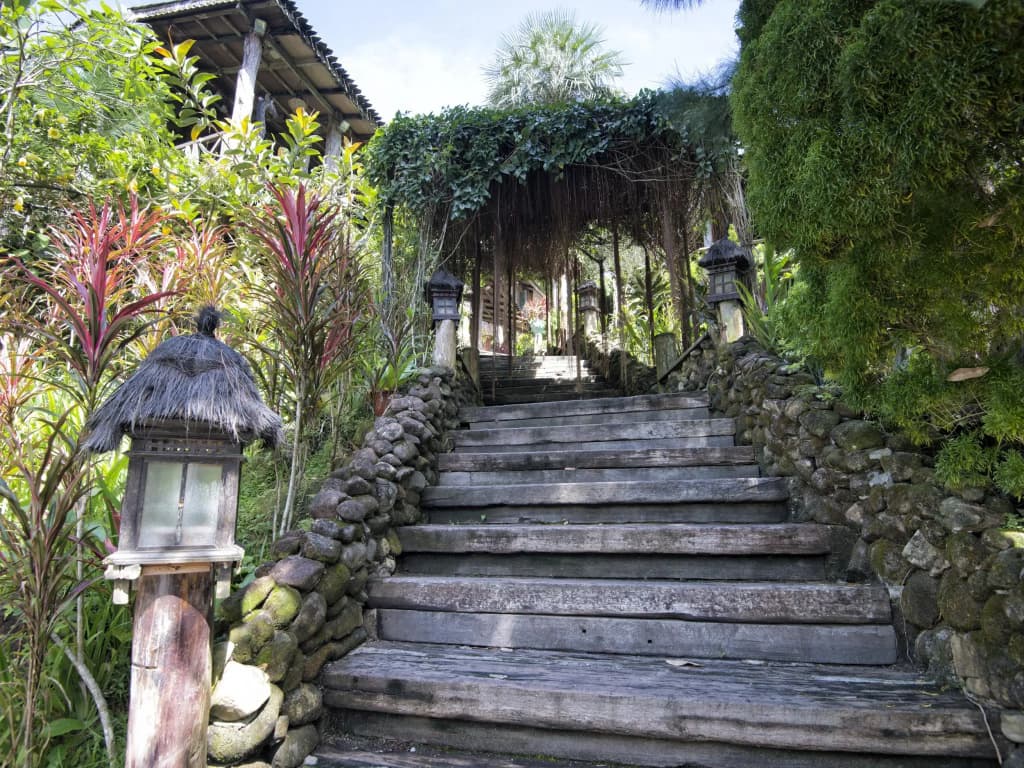 Fig Tree Hills Resort - photo 14