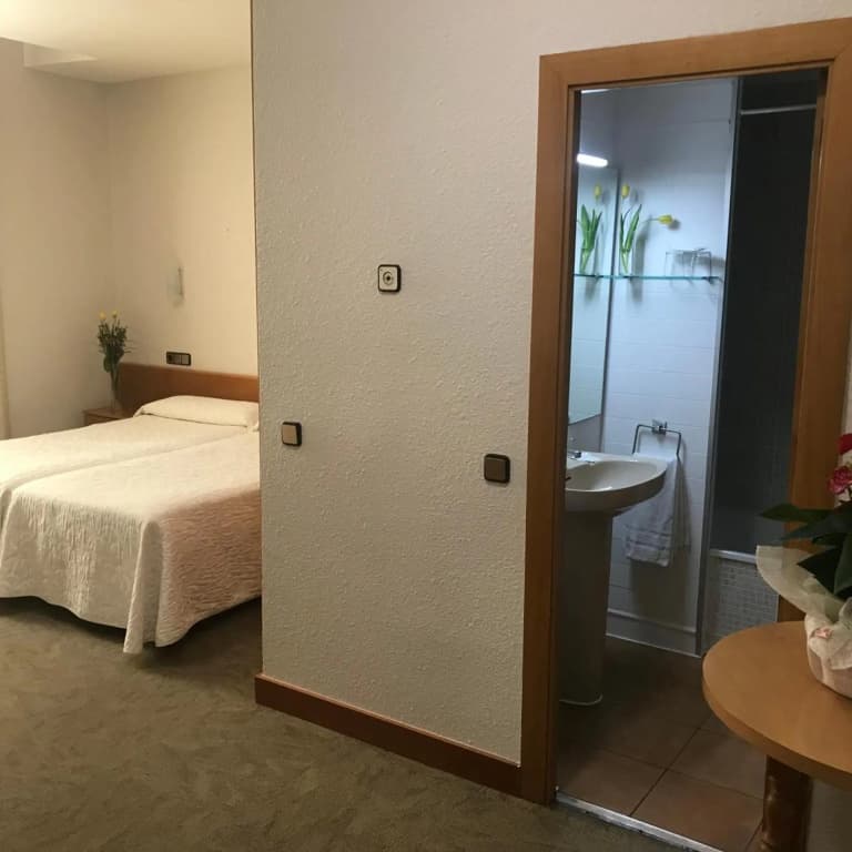 Hotel Pelayo - photo 21