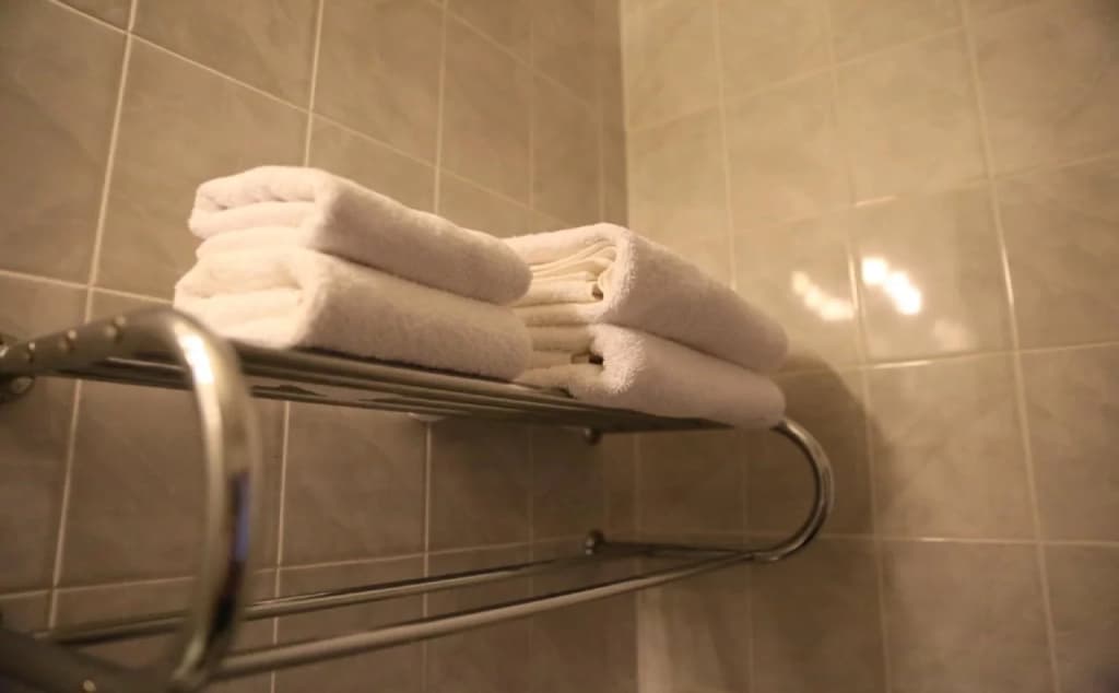 Phoenix Hotel - photo 10