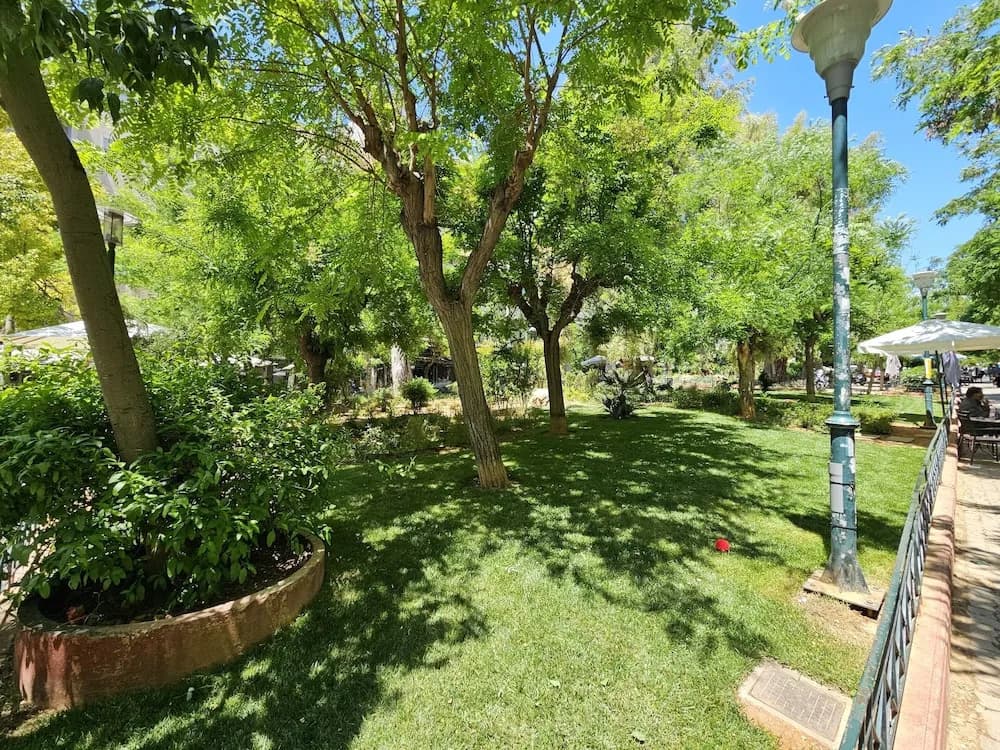 Helen's Place - photo 12