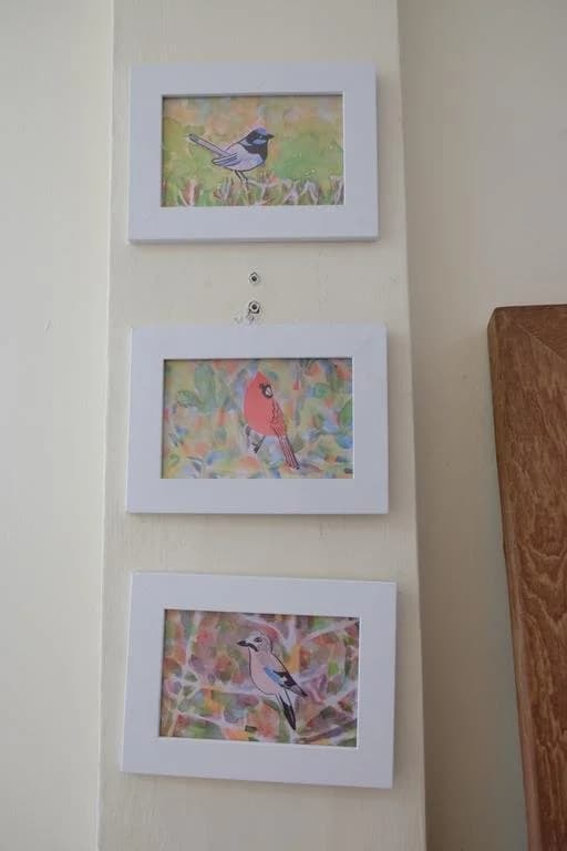 Jittree - photo 5