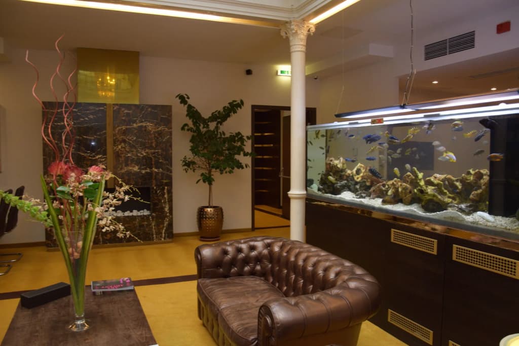 MyPlace Premium Apartments - photo 2