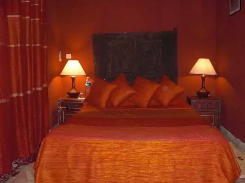 Riad Paula - photo 4