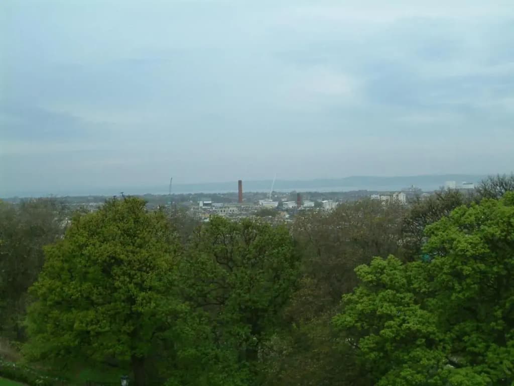 Terrace Hotel - photo 22