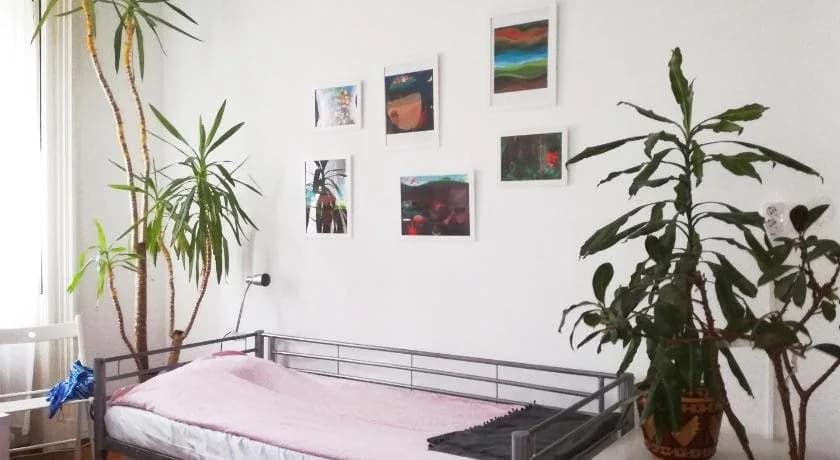 Activity Hostel - photo 3
