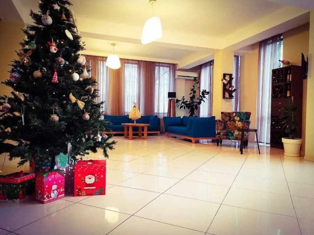 Asa Hotel Tbilisi - photo 10
