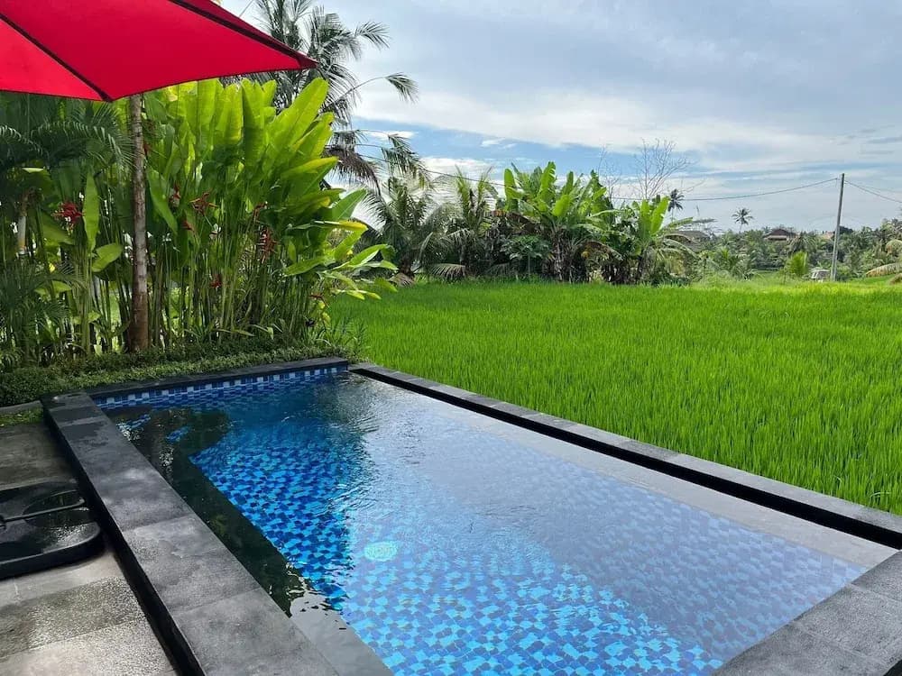 Maple Ridge Ubud Villas - photo 17
