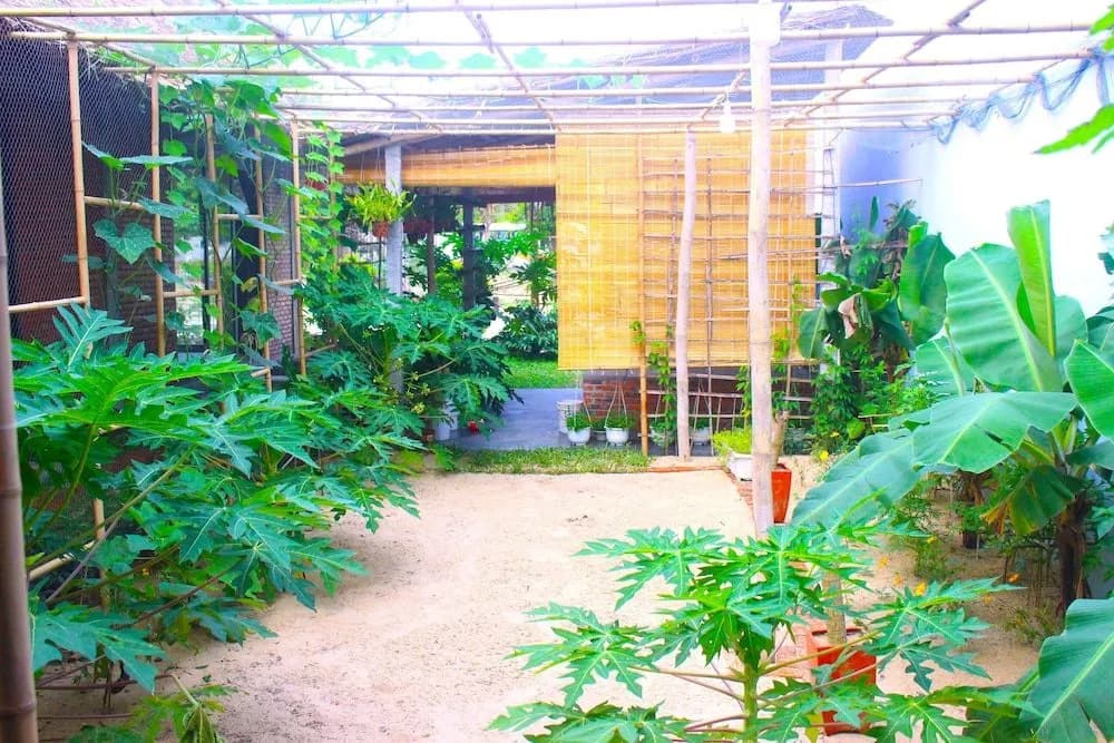 Ba's Garden Beachside Homestay - photo 9