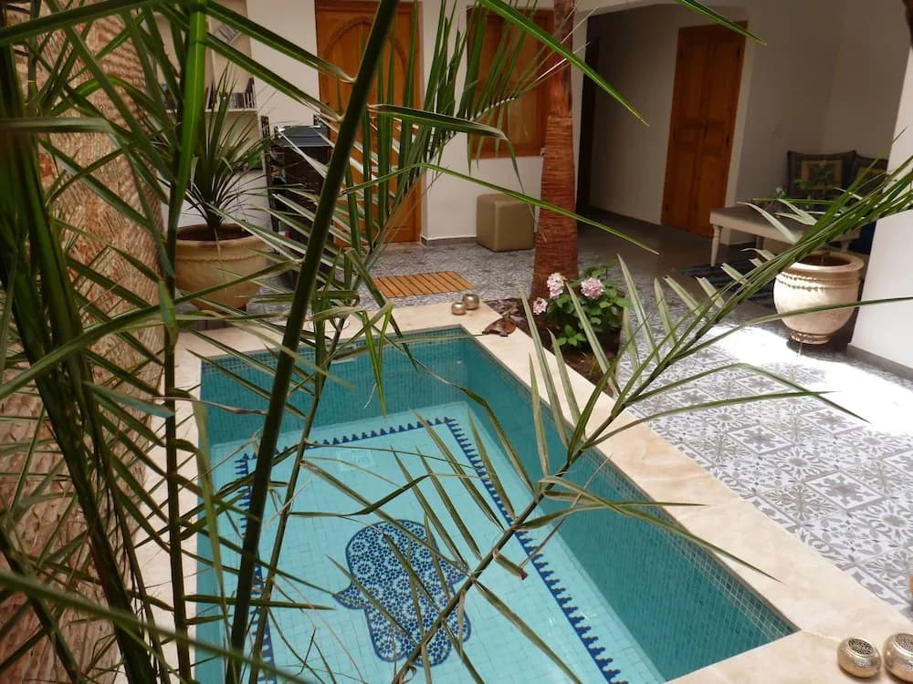 Riad Safina - photo 18