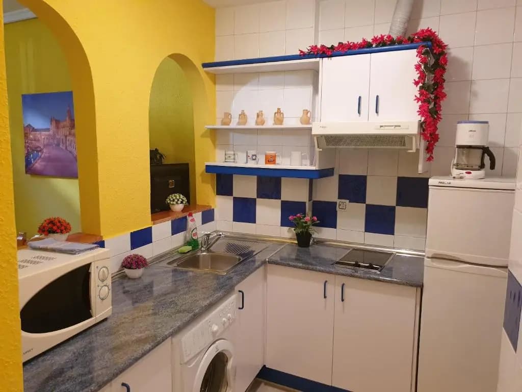 Apartamentos Dana Sol - photo 15