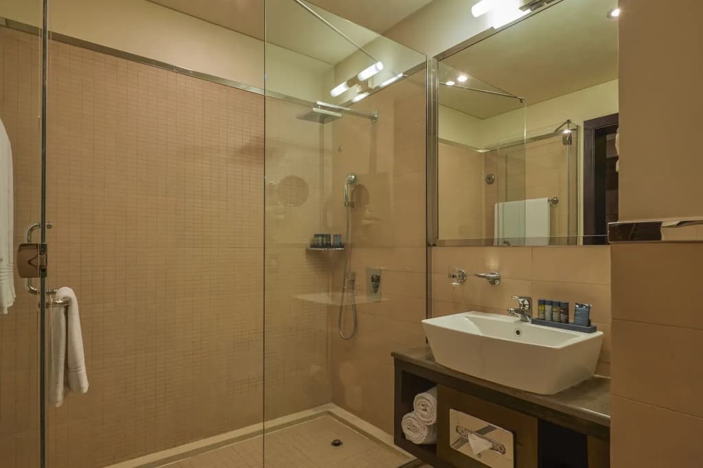Safir Hotel Doha - photo 8