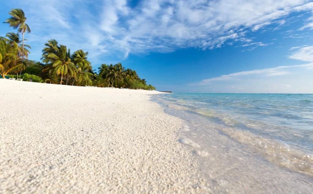 Innahura Maldives Resort - photo 42