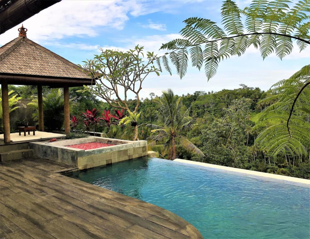 Ayuterra Resort - photo 12