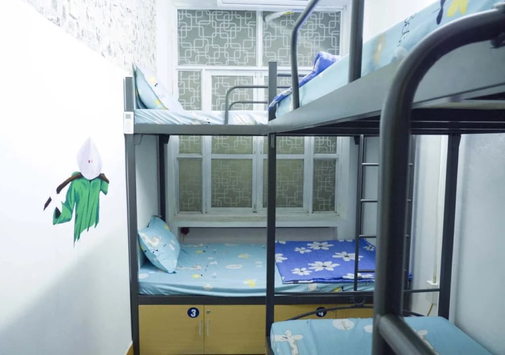 Daisy Hostel - main photo