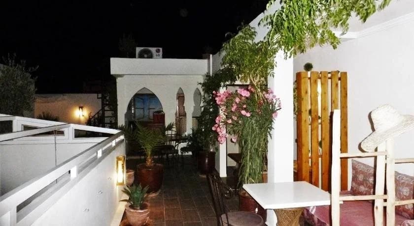 Riad Safina - photo 15