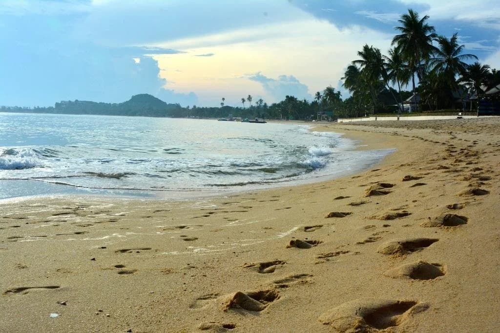 Beachway - photo 13