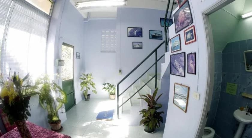 Dive Den Guesthouse - photo 10