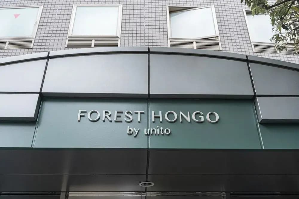 Forest Hongo By Unito - photo 18
