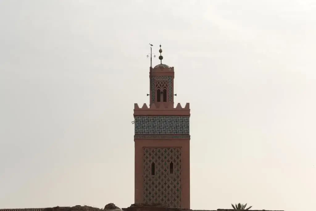 Riad Dar Alfarah - photo 29