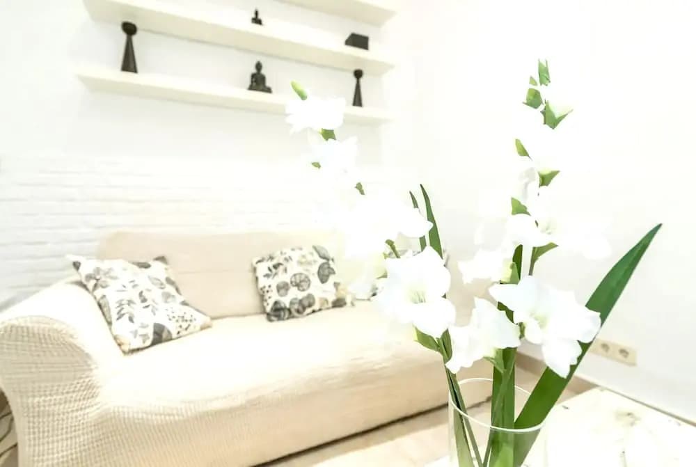 Apartment with One Bedroom in Madrid - photo 3