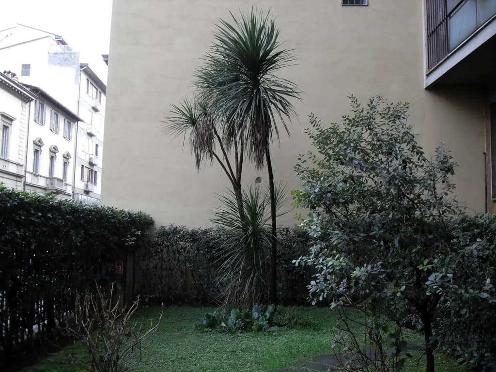 Residenza Giulia - photo 1