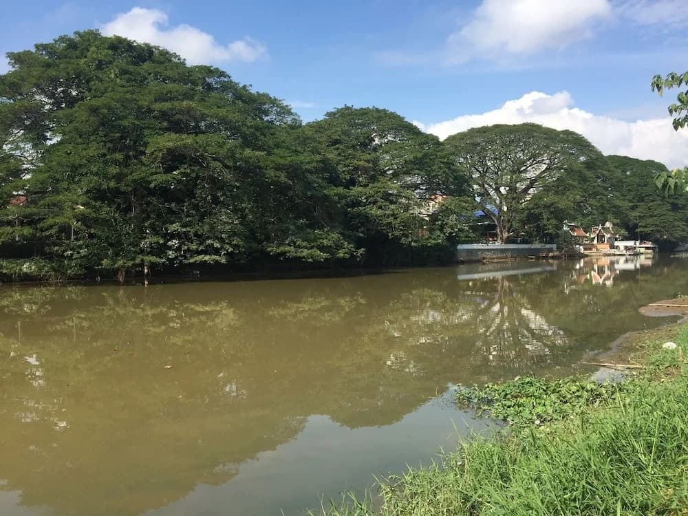 Kawila 126 - photo 10