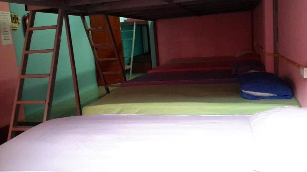 Bamboo Hostel - photo 4