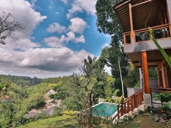 Bali Ubud Villa View - photo 8