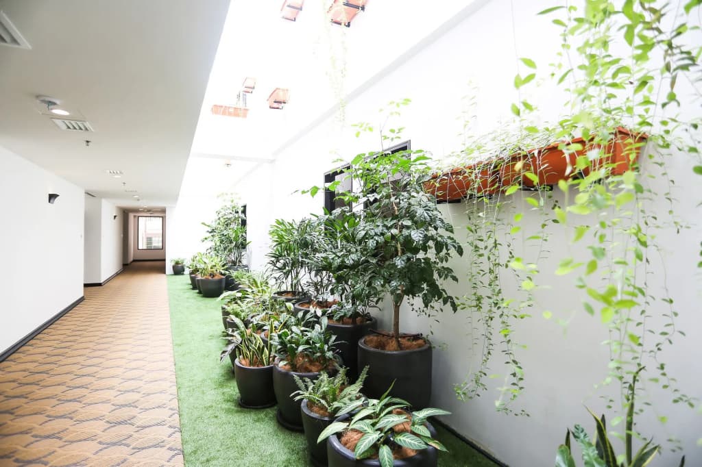 Grand Belllo Hotel JBCC - photo 23