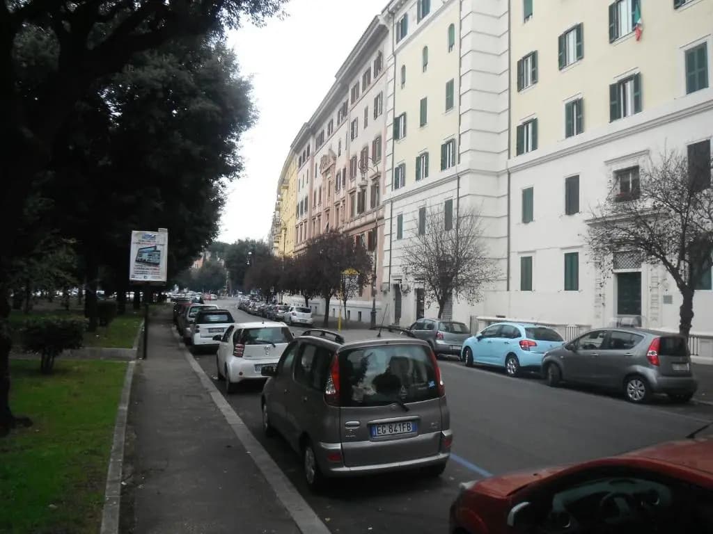 Domi Aloisii - photo 7