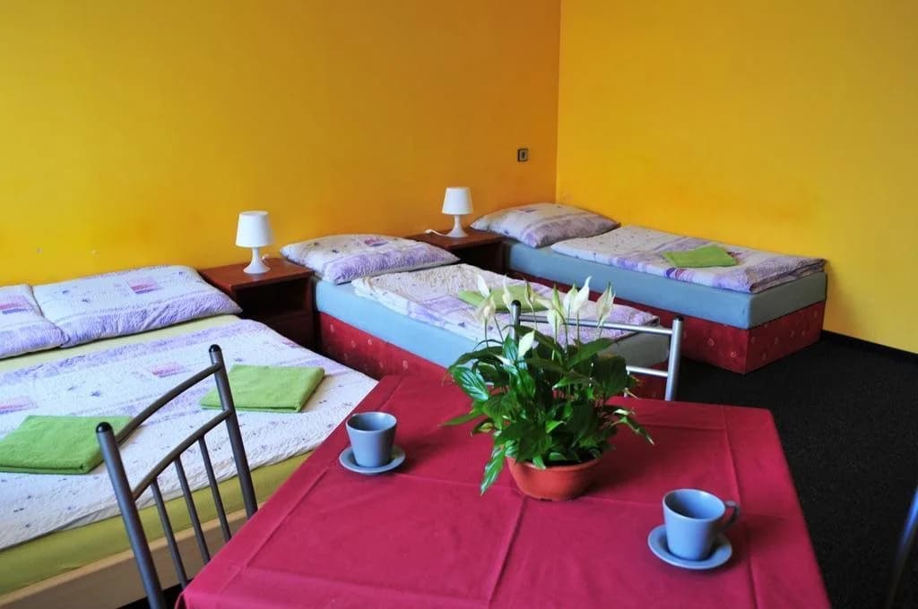 Hostel Alia - photo 16