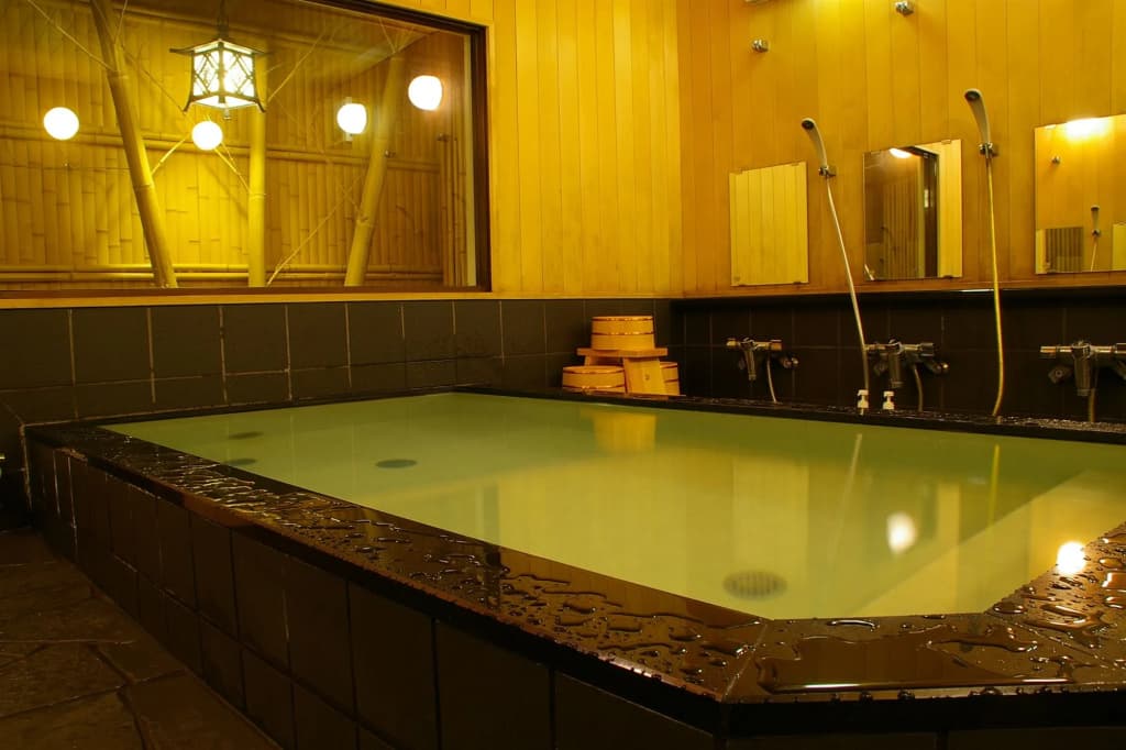 Ryokan Sawaya Honten - photo 21