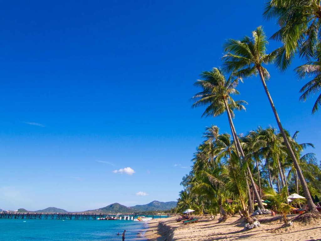 Coco Palm Beach Resort - photo 18