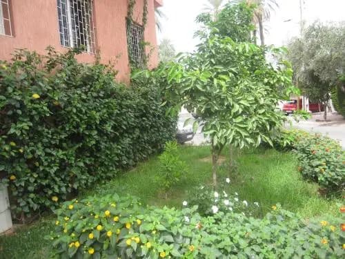 Holidays Appartement - photo 29