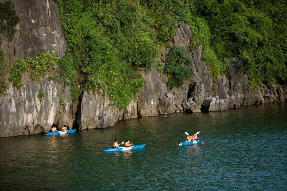 Peony Cruises - photo 19