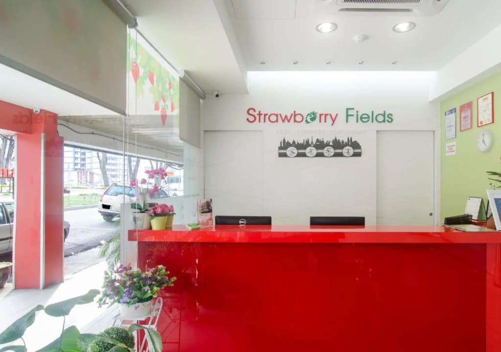 Hotel Strawberry Fields - photo 21
