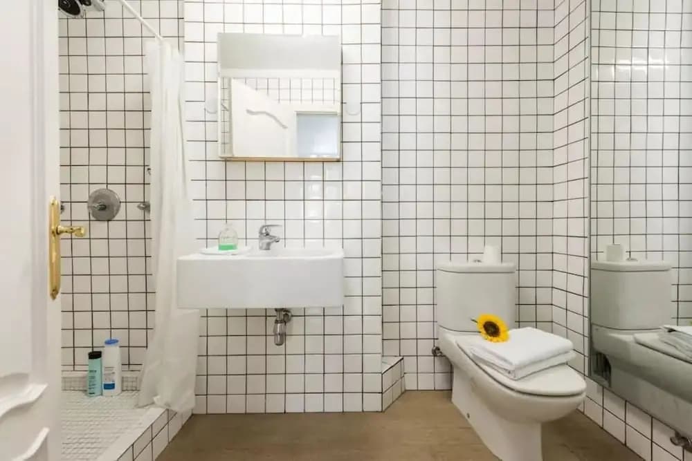 Luxury Flat Plaza Mayor - photo 7