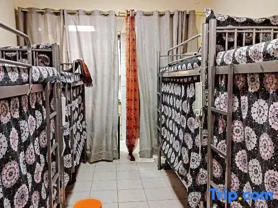 Rovers Hostel - photo 1