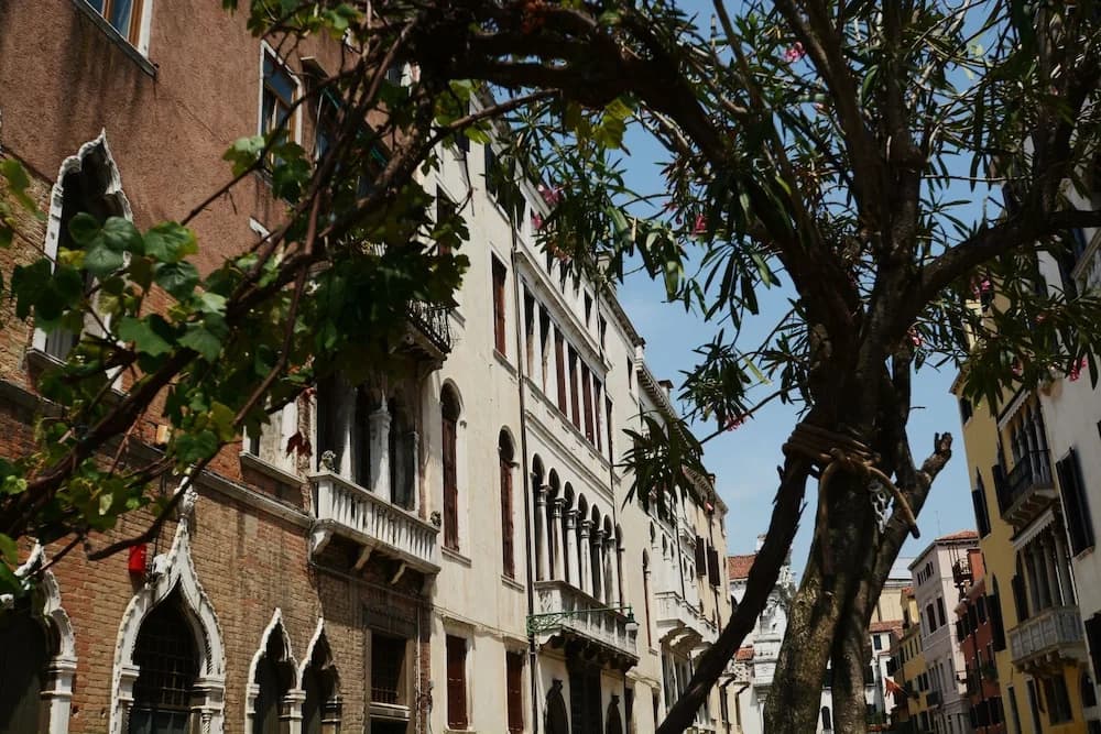 Ve.N.I.Ce Cera Palazzo Grimani - main photo
