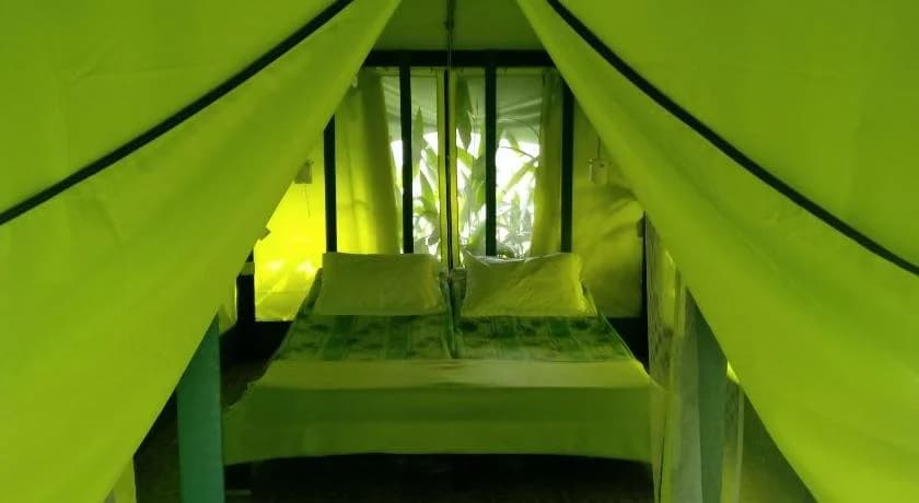 T Garden - photo 8