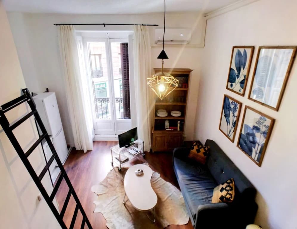 Apartamentos MLR Lavapiés - photo 2