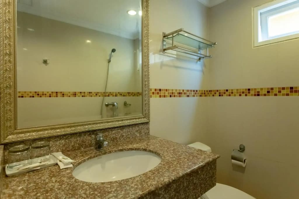Ivory Palace Hotel - photo 29