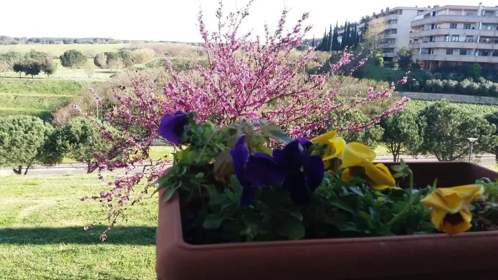 Colline Verdi - photo 6
