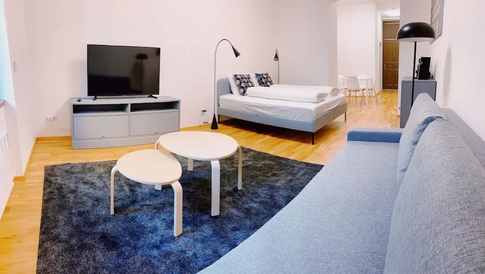 Residence u Naplavky - photo 5