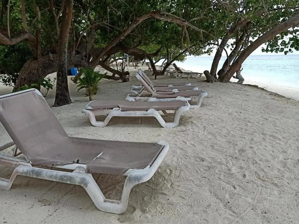 Fins Dive And Leisure Hotel - photo 12